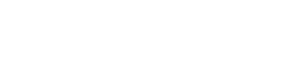 The Ritz International LOGO